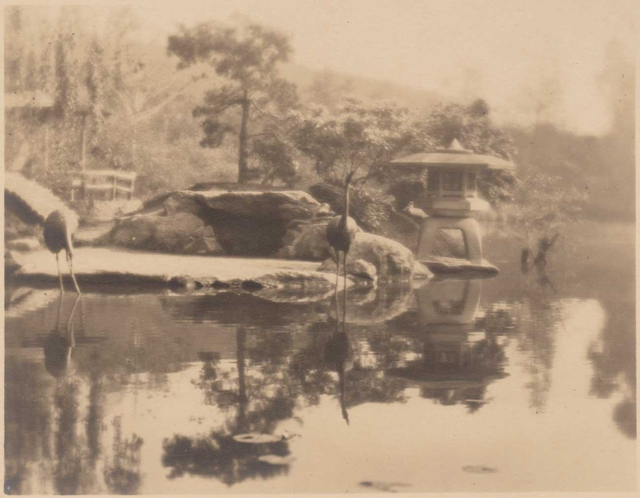 Japanese Hill-and-Pond Garden Island