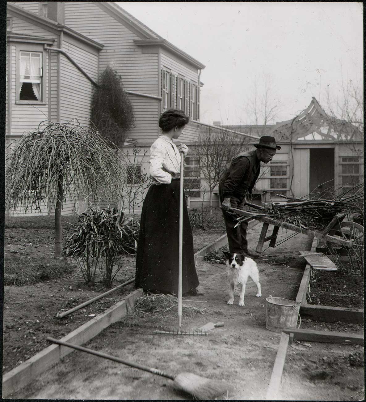 Cleaning up the Yard in Spring