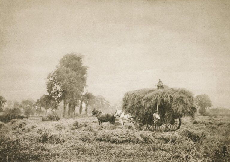 Le Déclin de L’été