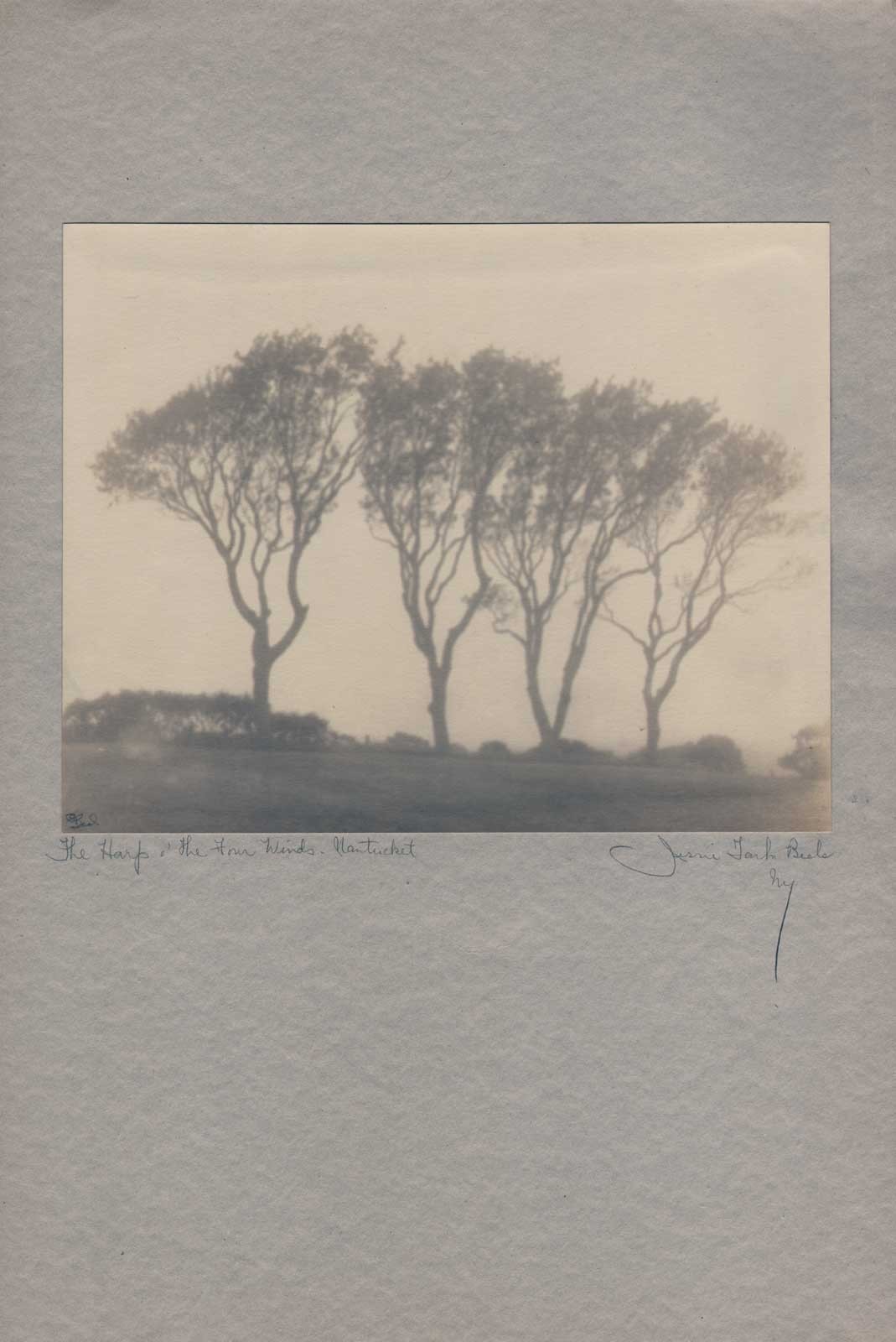 The Harp o’ The Four Winds-Nantucket