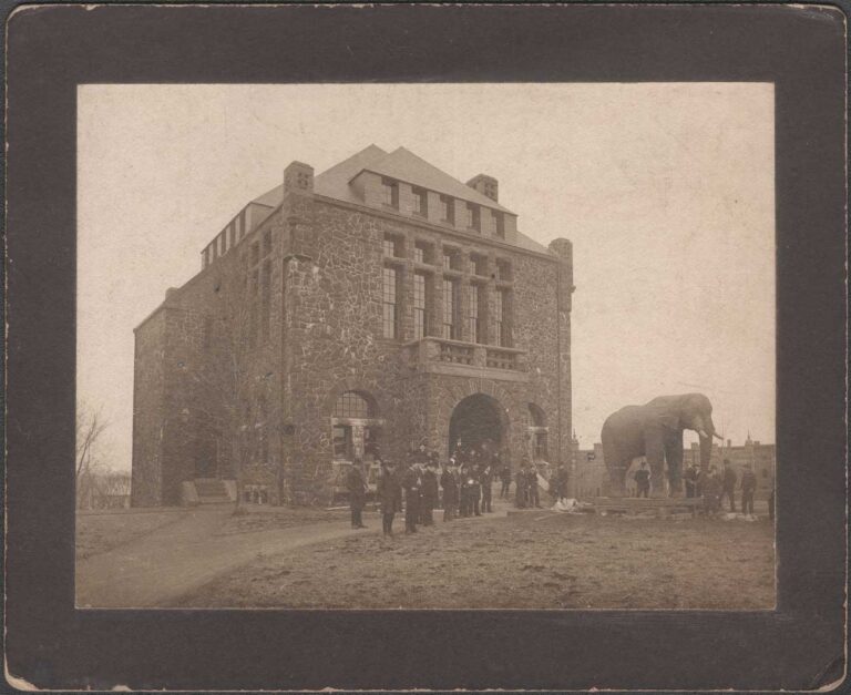 Moving Jumbo into Barnum Museum