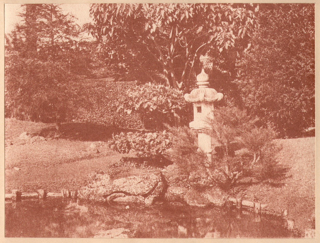 Japanese Tea Garden Pond with Kasuga Stone Lantern