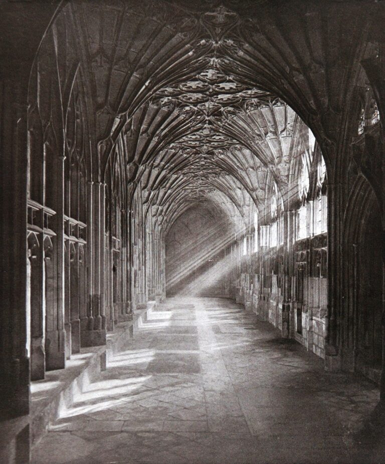 A Sunlit Cloister