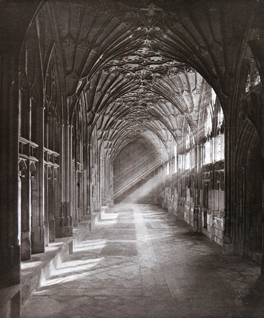 A Sunlit Cloister