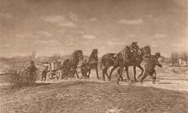 Untitled Team of Horses