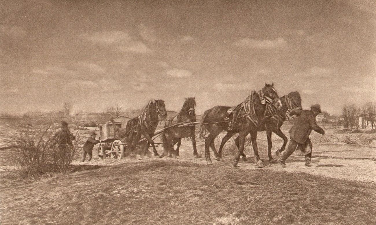 Untitled Team of Horses