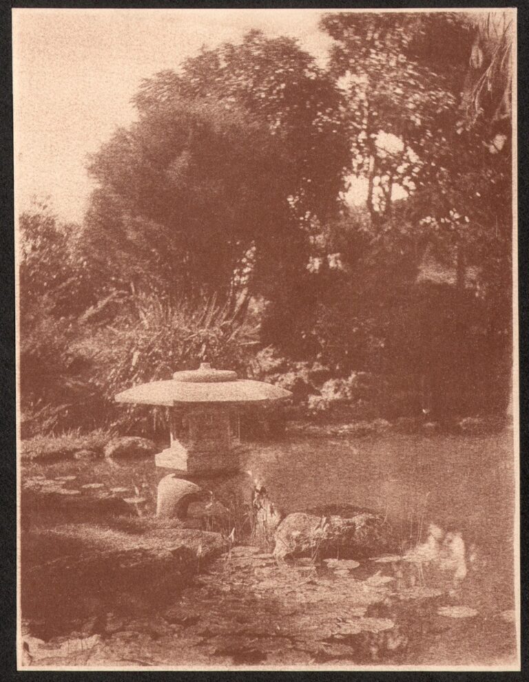 Japanese Tea Garden Pond with Stone Lantern