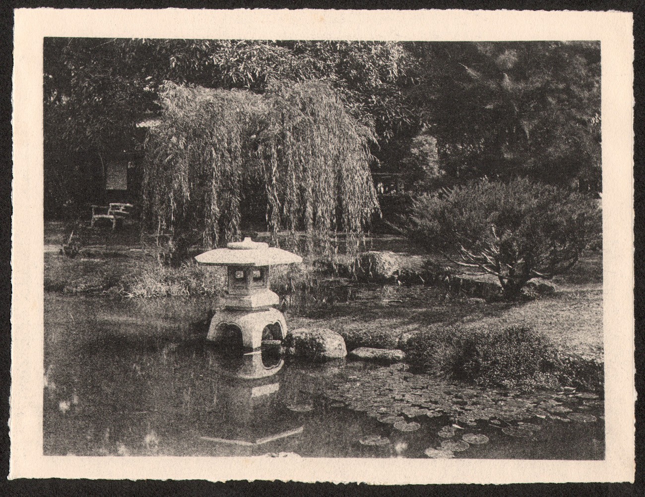 Japanese Tea Garden Pond with Stone Lantern