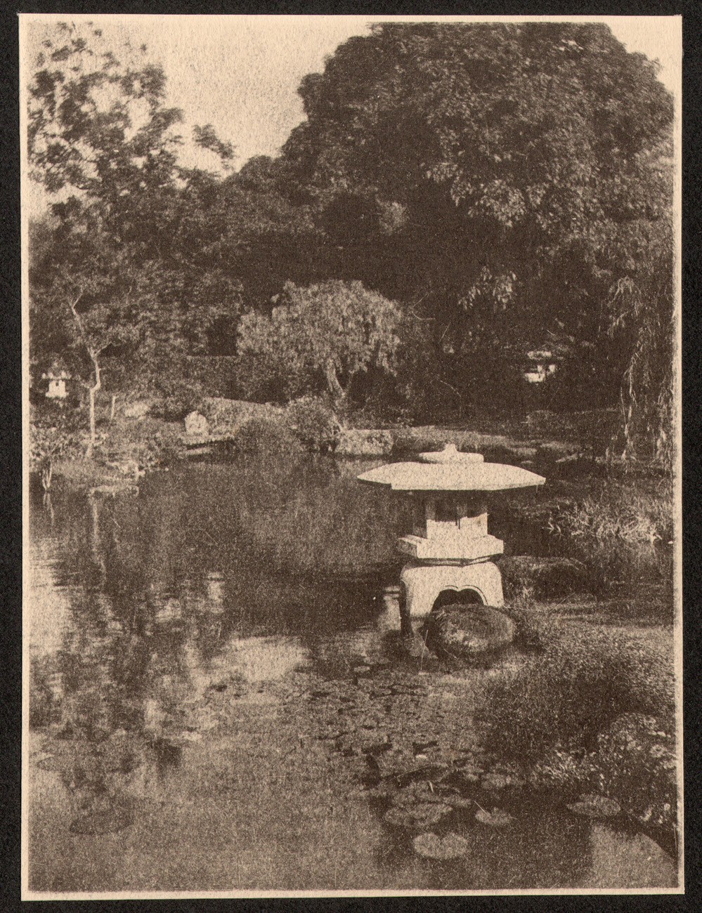 Japanese Tea Garden Pond with Stone Lantern