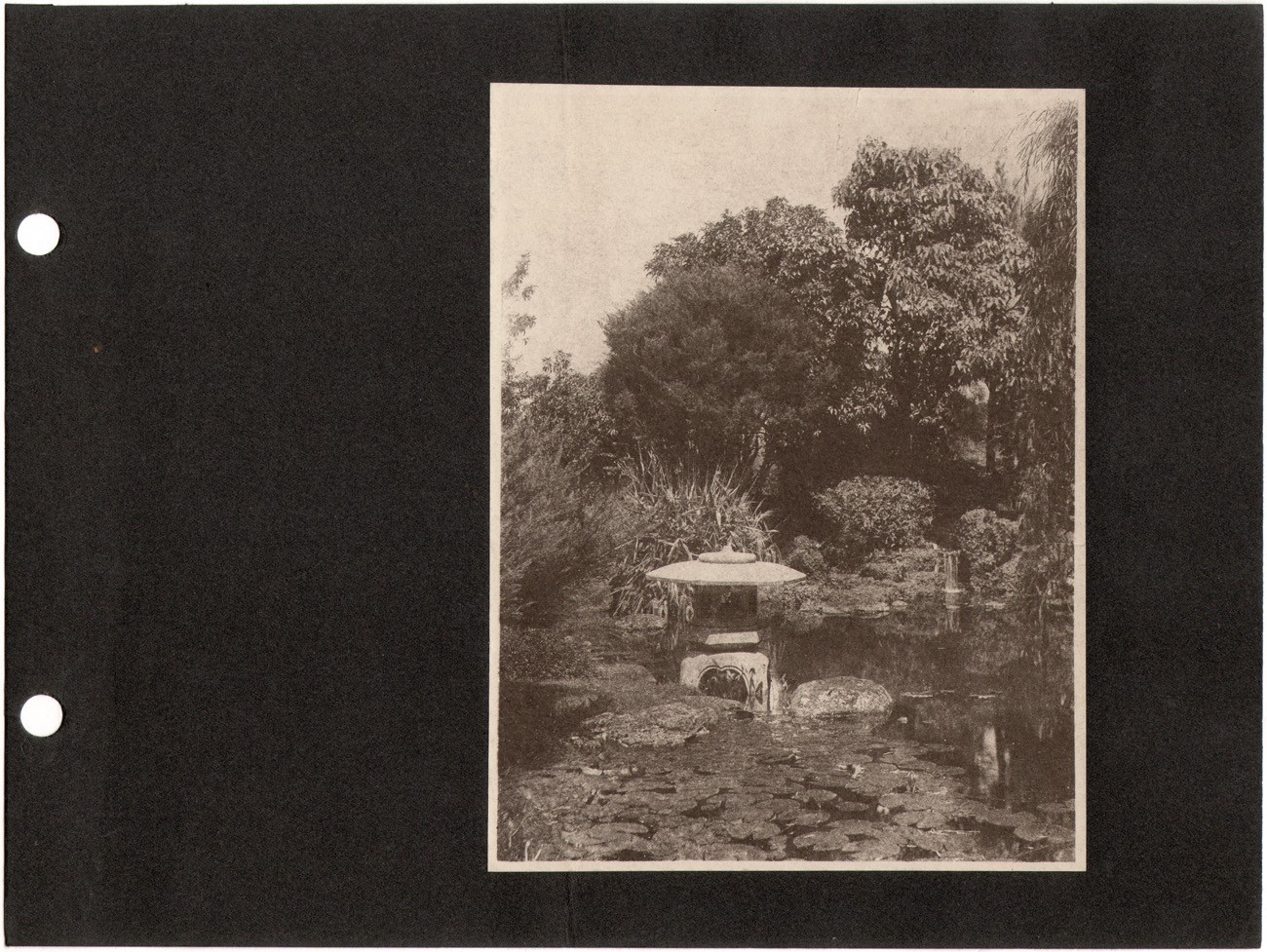 Japanese Tea Garden Pond with Stone Lantern