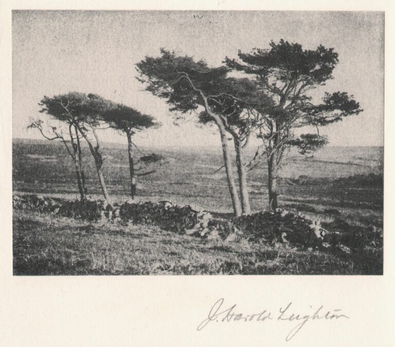 The Edge of the Moor