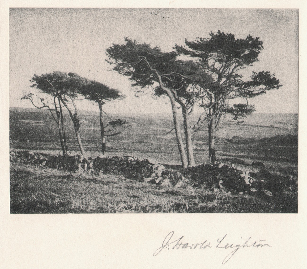 The Edge of the Moor