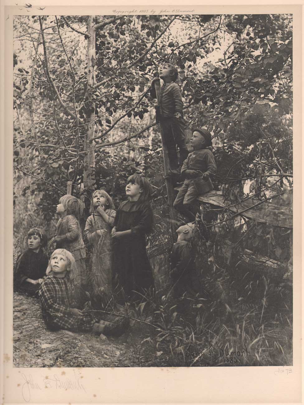 Listening to the Birds