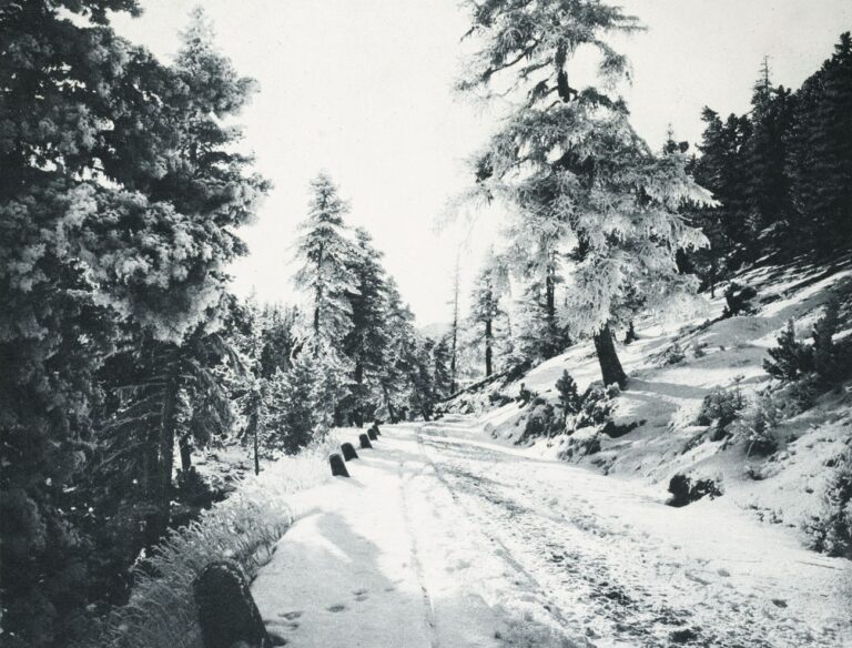 Wintertag in St. Moritz