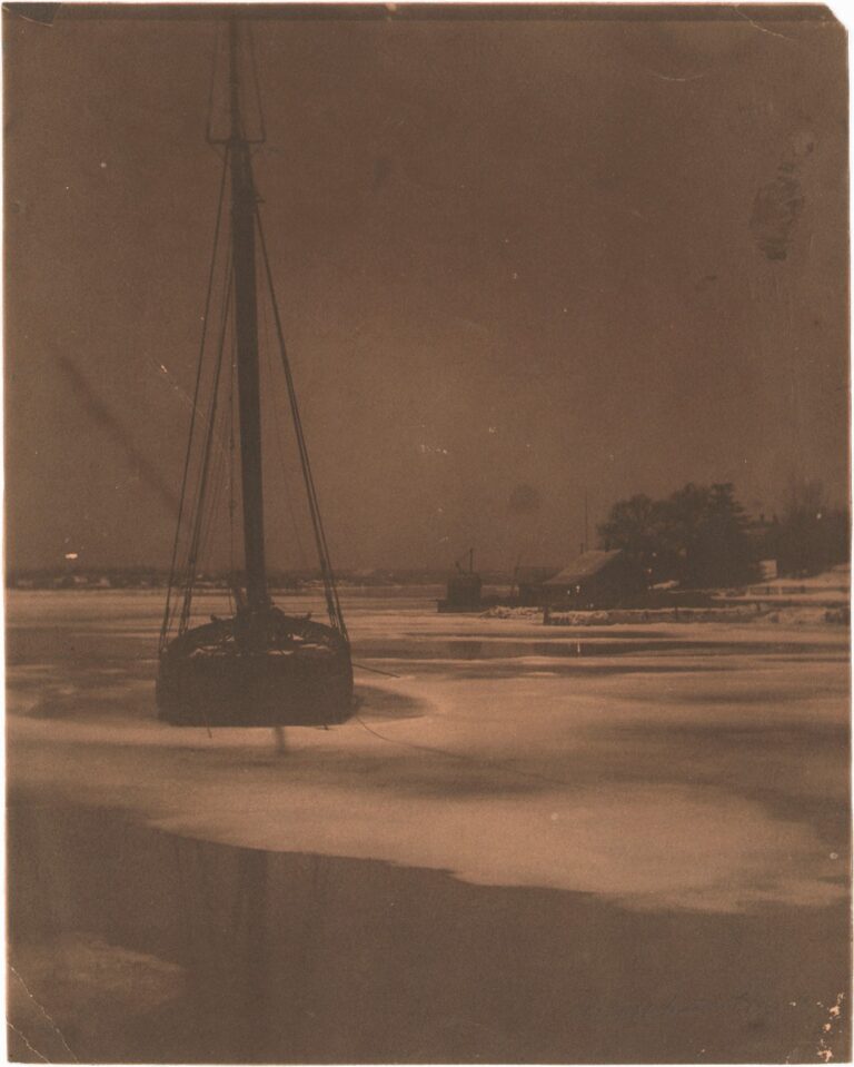 Moonlight night in Winter