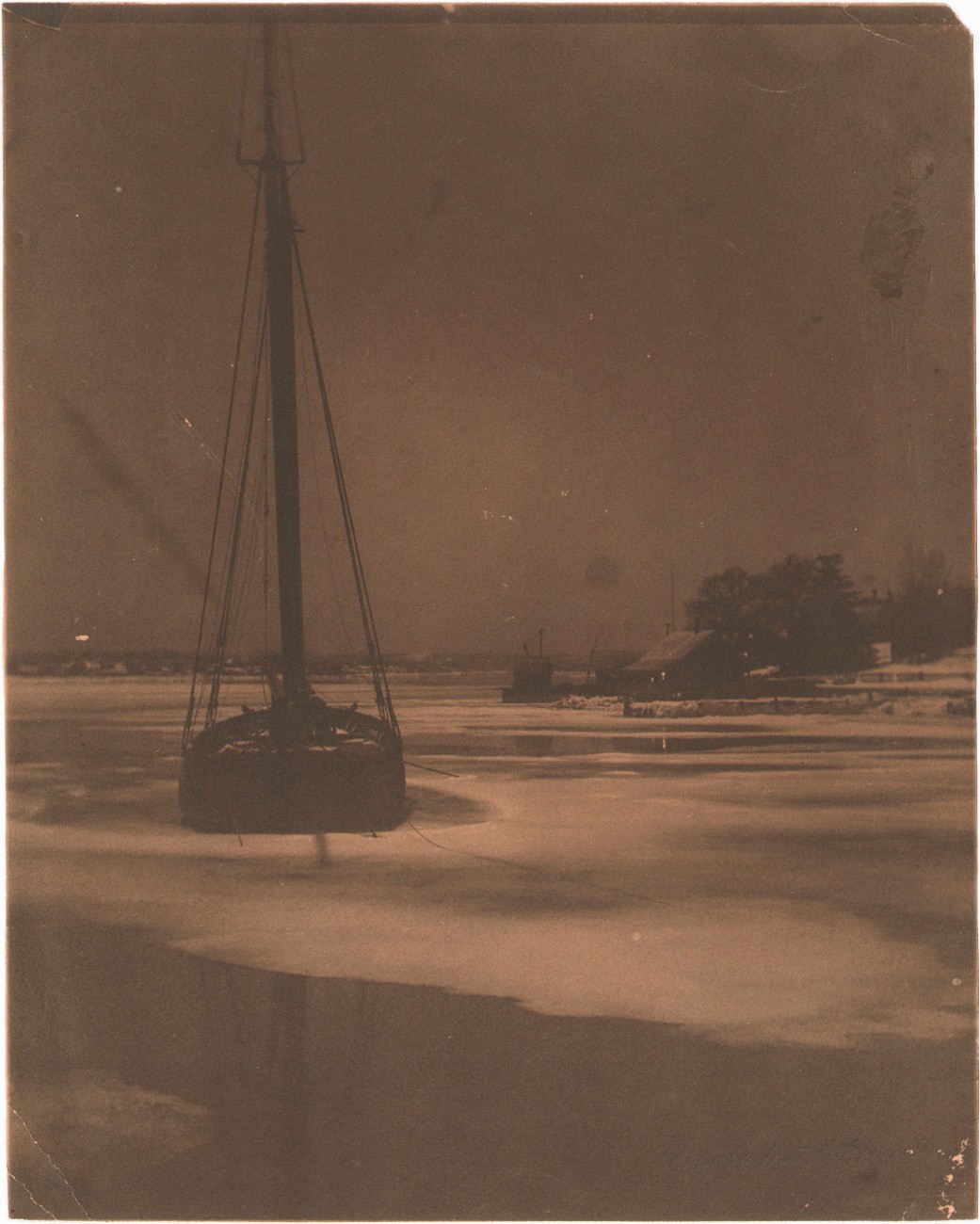 Moonlight night in Winter