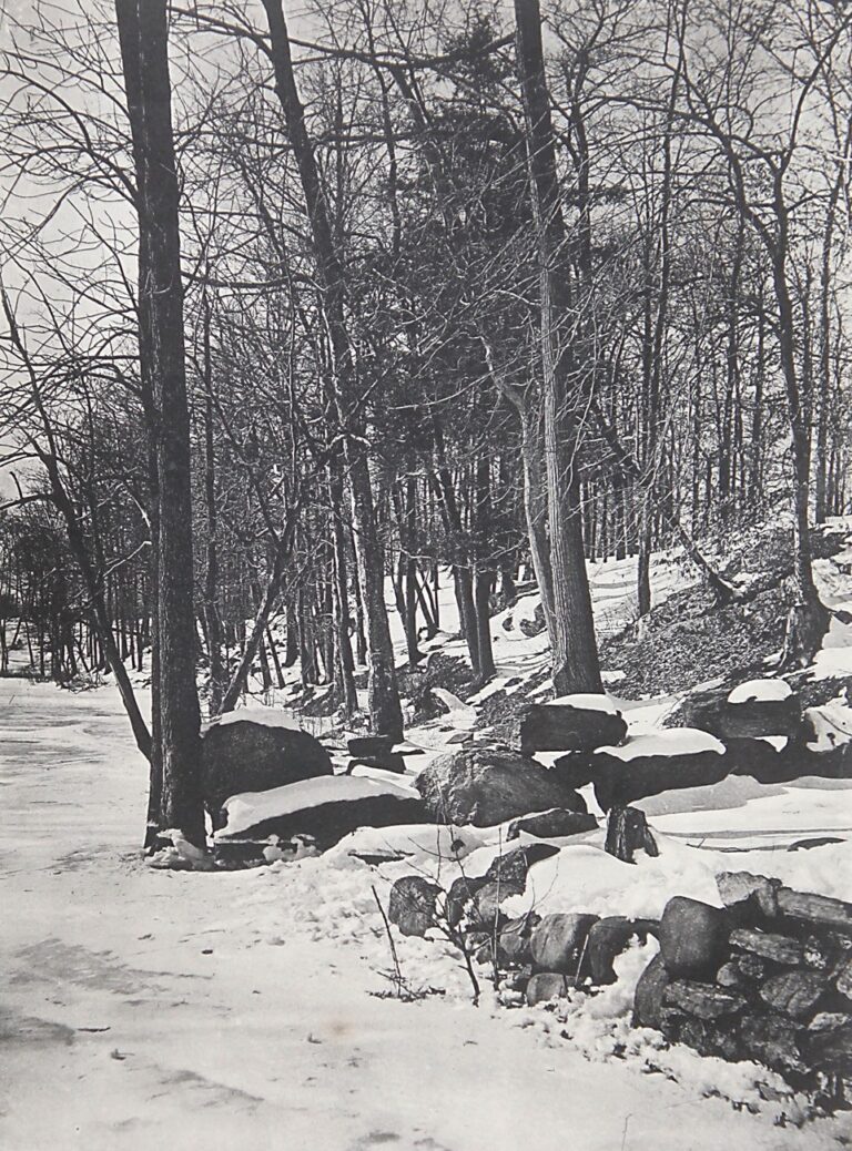 The Bronx River in Winter