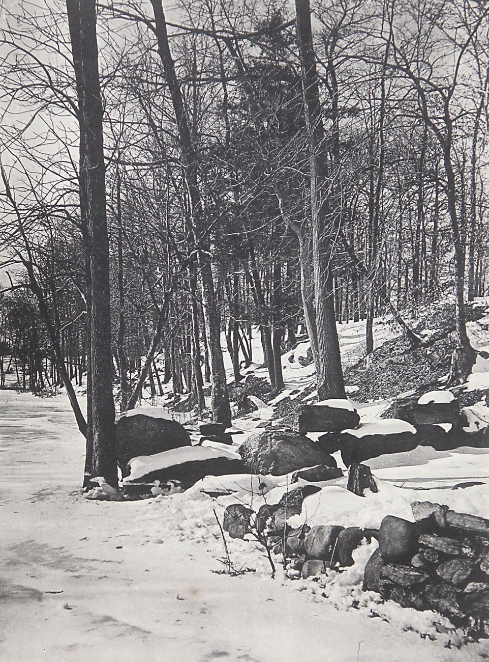 The Bronx River in Winter