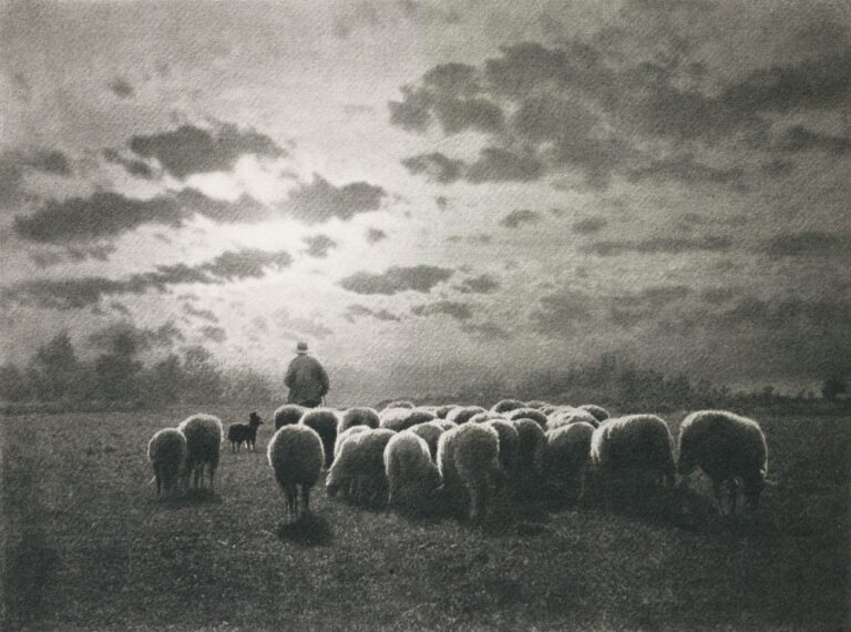 Au Coucher Du Soleil