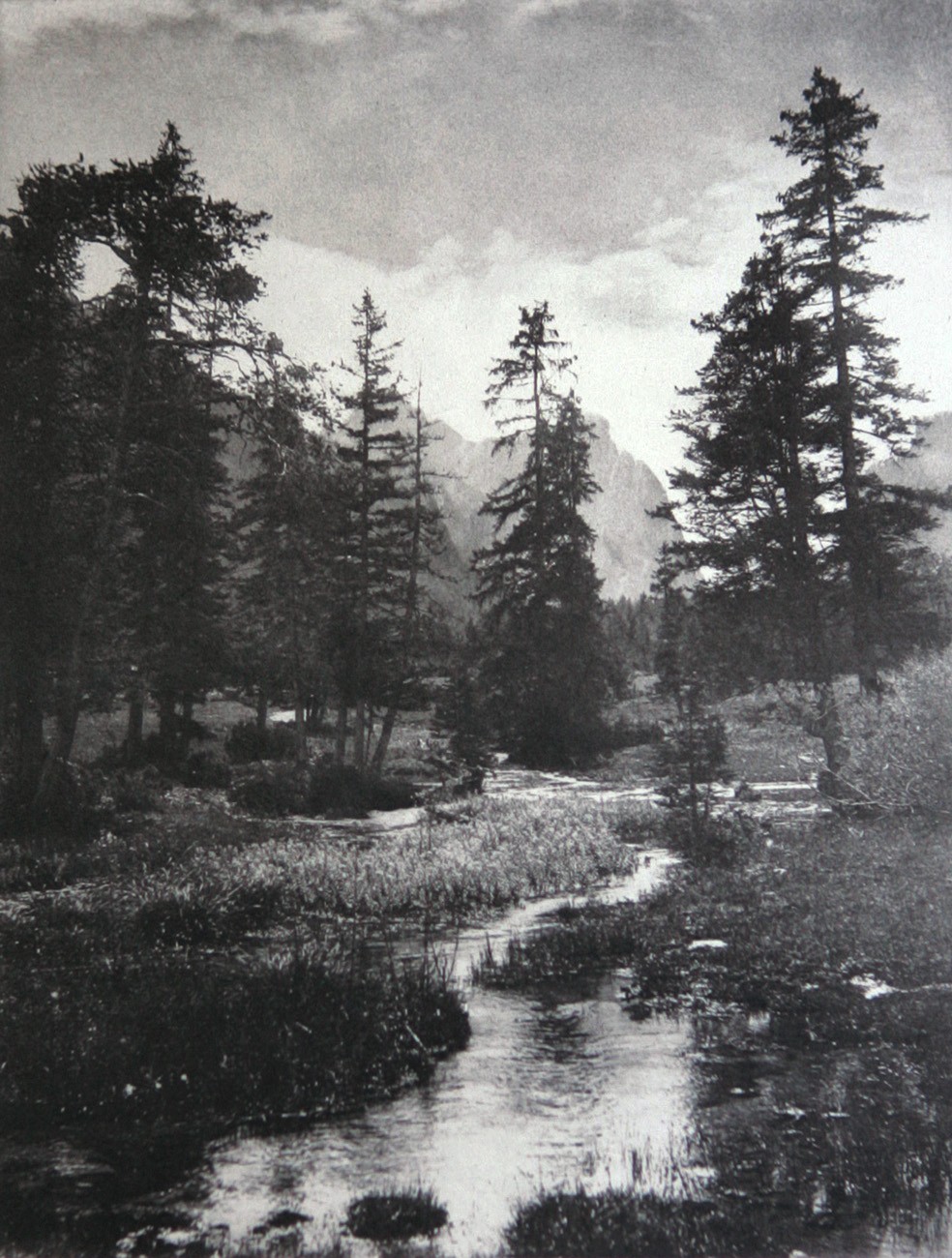 Eingang In Das Ampezzothal