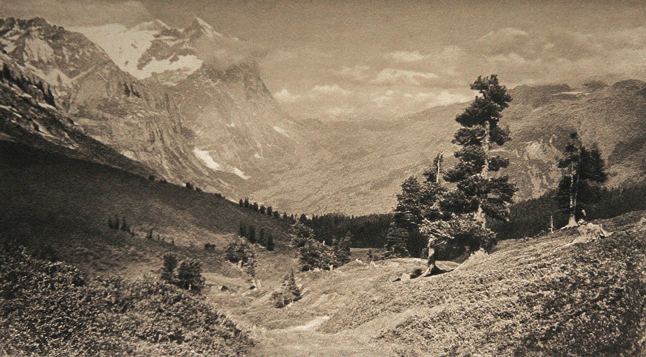 Untitled Mountain Landscape