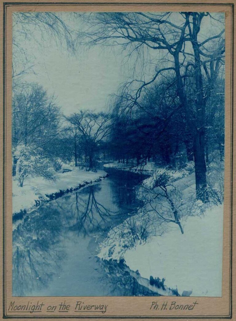 Moonlight on the Riverway