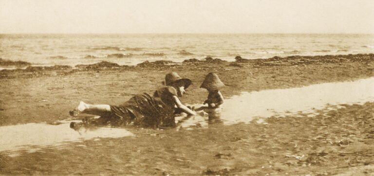 Mushrooms by the Sea