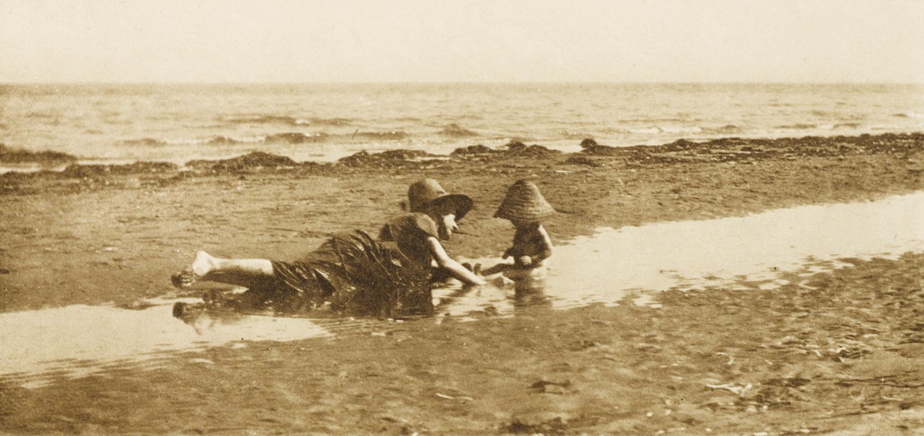 Mushrooms by the Sea