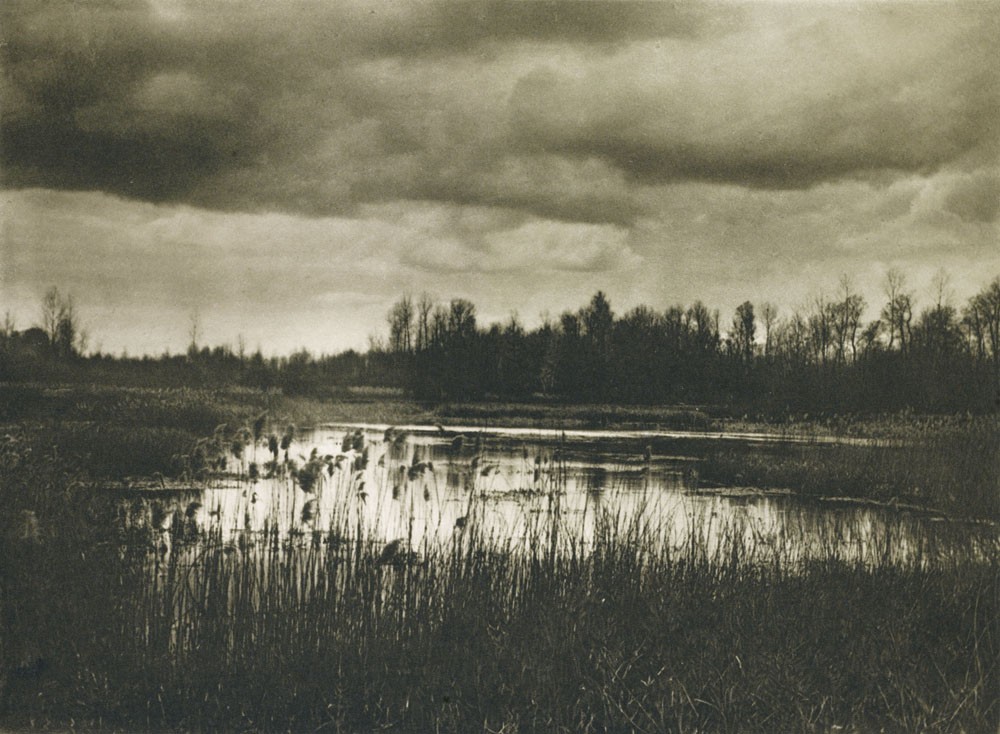 Torfmoor Bei Longueville