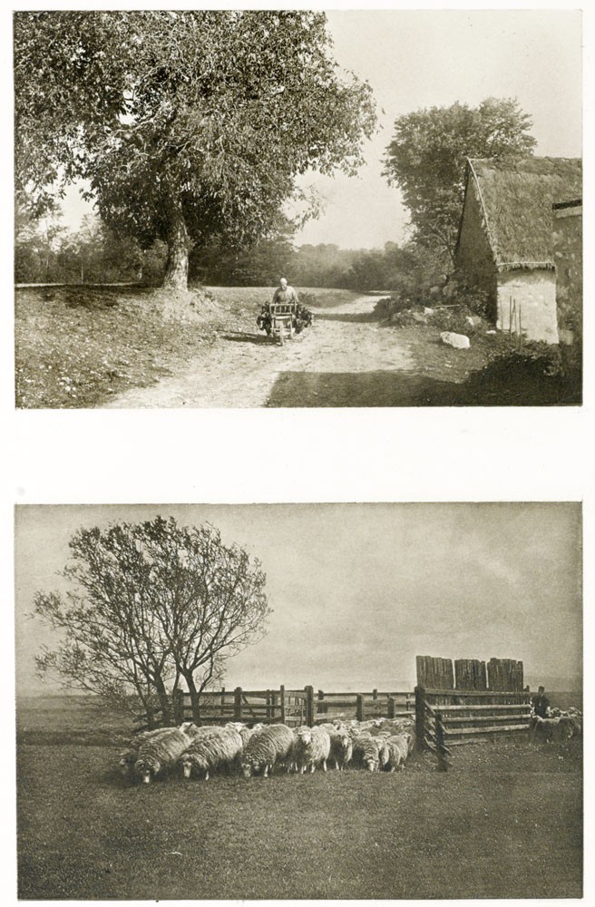 Diptych: Retour des Champs & Changement de Paturage