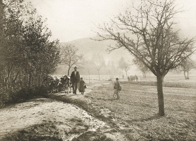 Matinée d’automne (Gd-Duché de Bade)