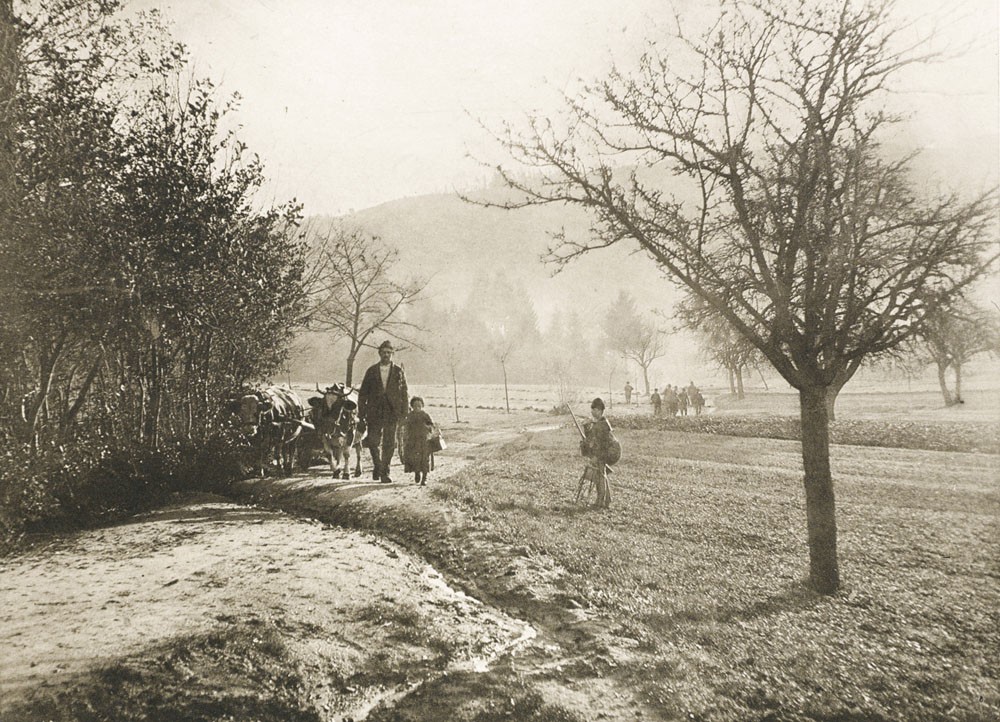 Matinée d’automne (Gd-Duché de Bade)