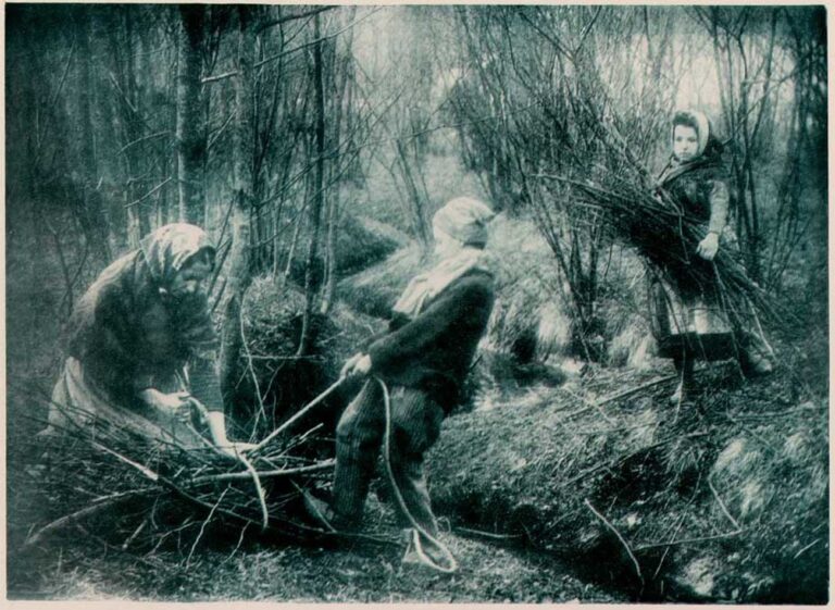 Bundling and Gathering Faggots