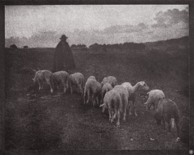 A Franconian Shepherd