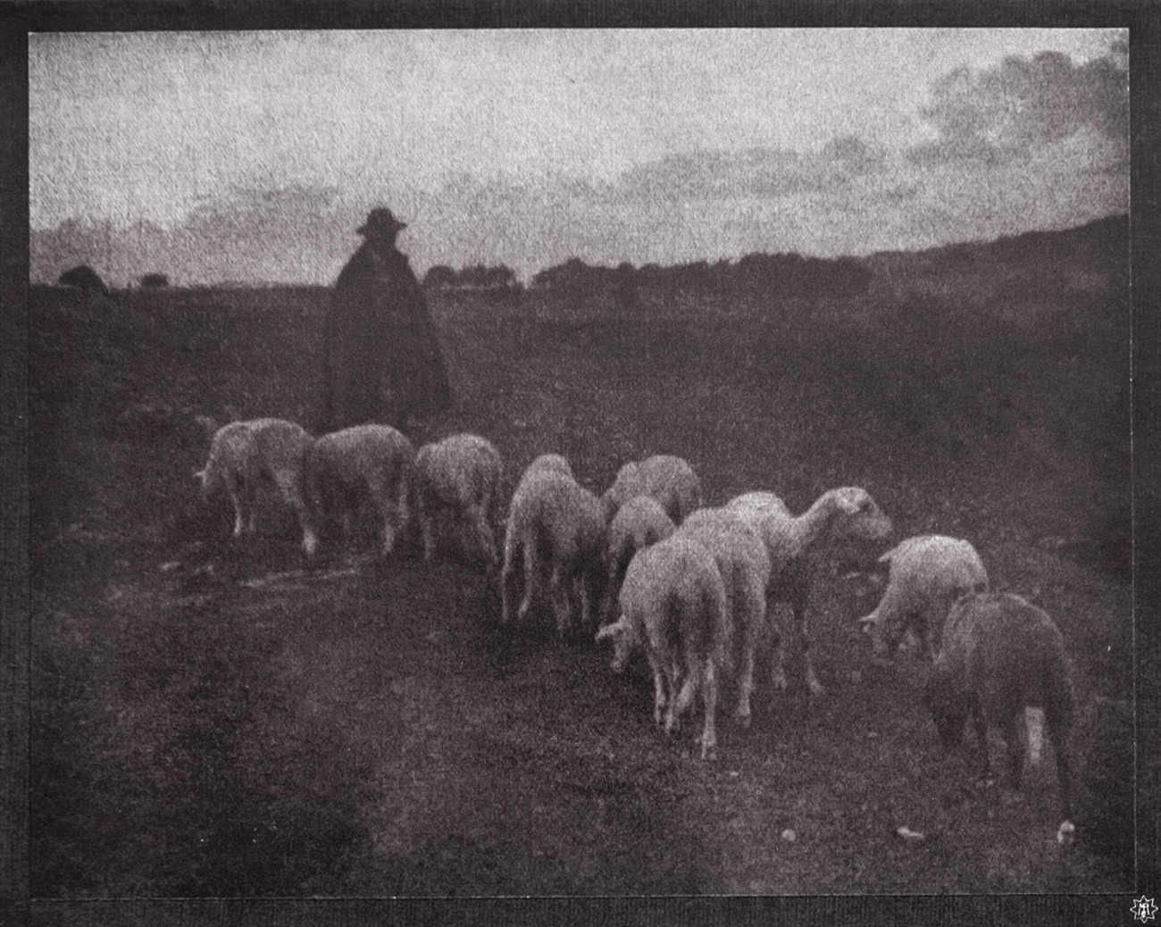 A Franconian Shepherd