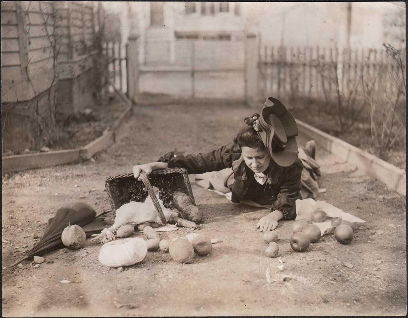 Oh, Dear, My Thanksgiving Dinner!