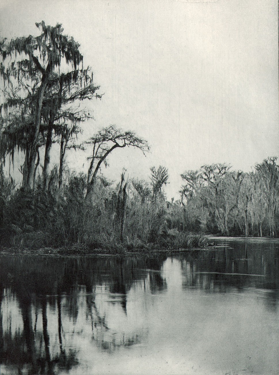 On the Ocklawaha, Florida