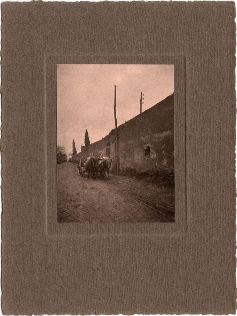 Ox-drawn Cart on Street