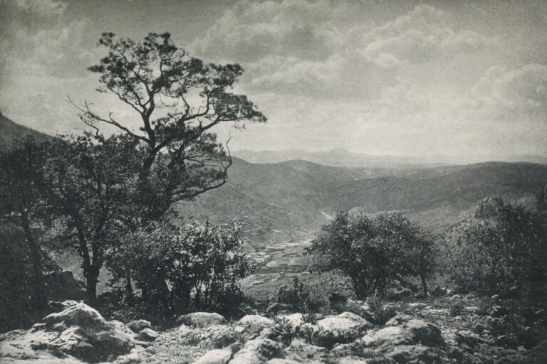 Mexikanische Landschaft