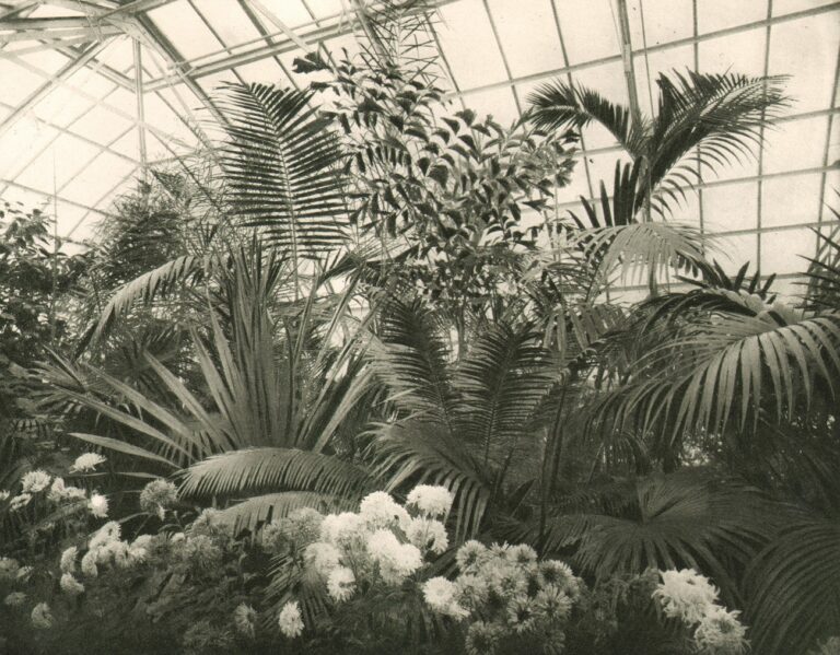 Palm House