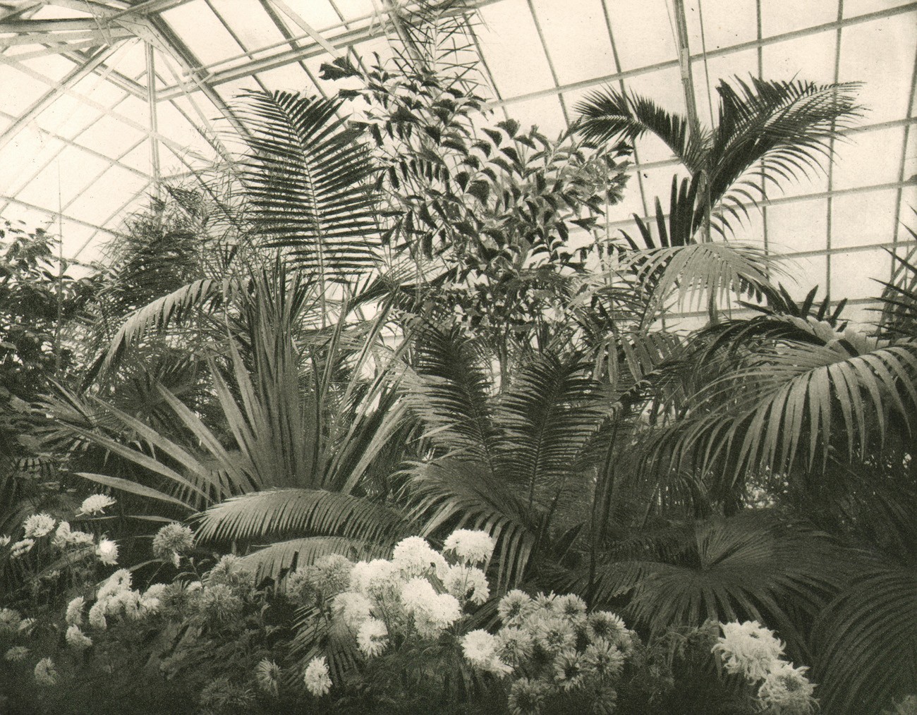 Palm House