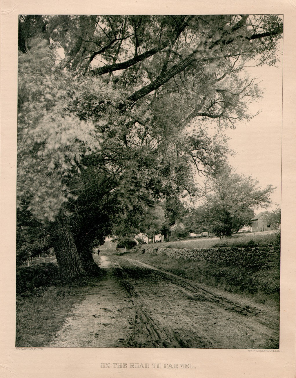 On the Road to Carmel