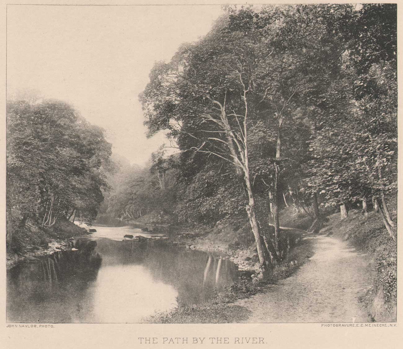 The Path by the River