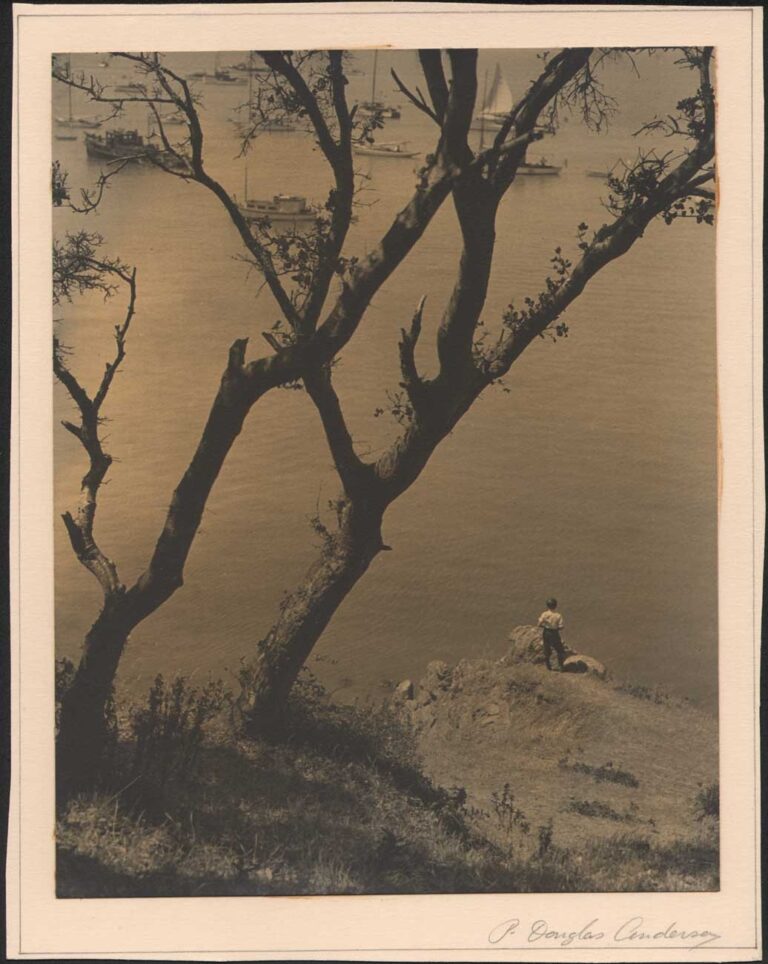 Boy Looking out onto Bay