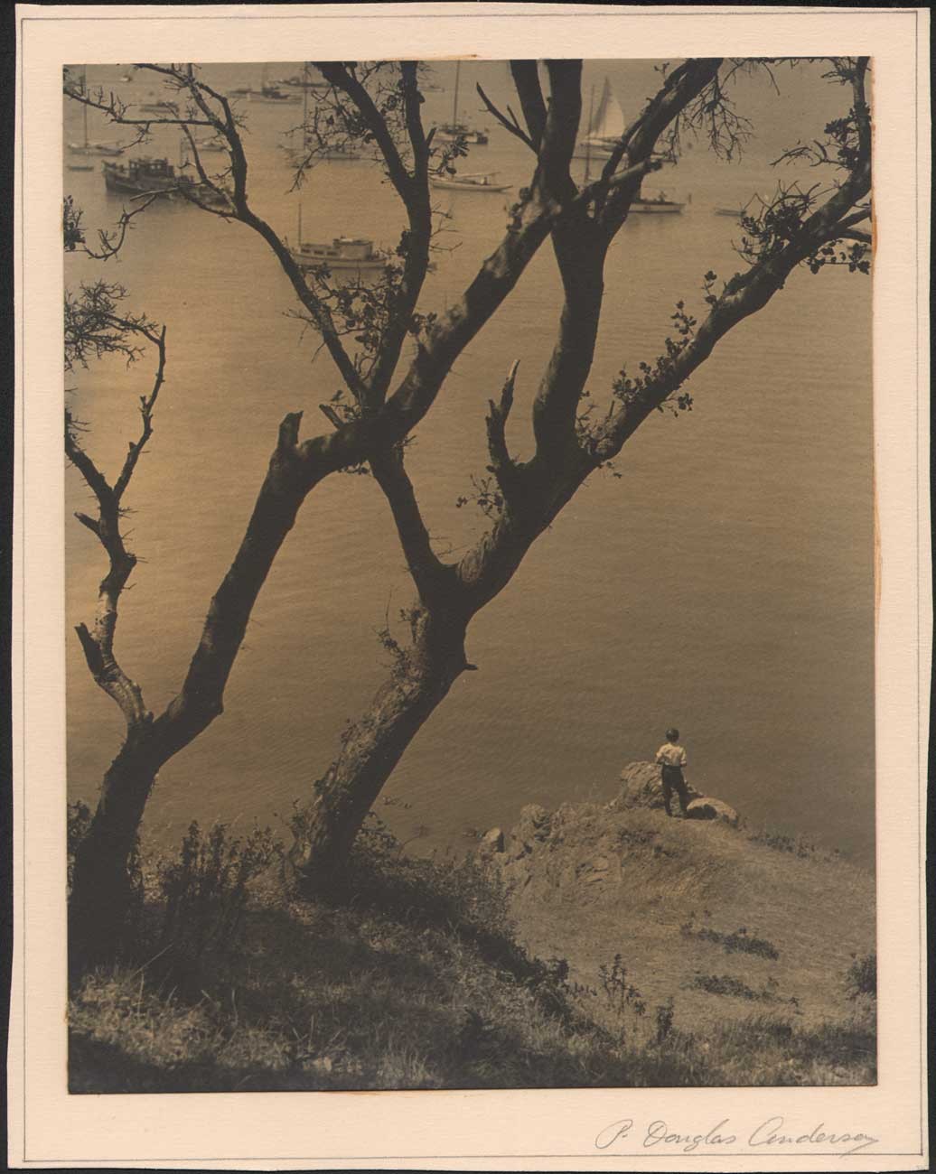 Boy Looking out onto Bay