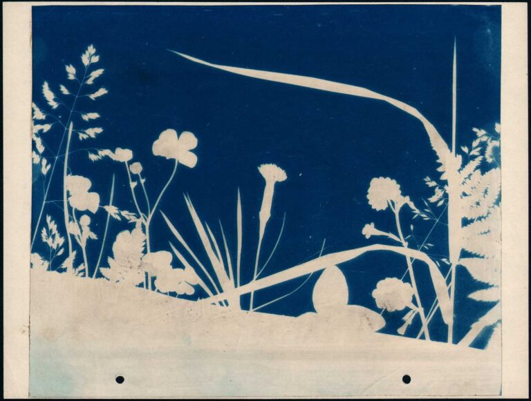 Plant Form Arrangement