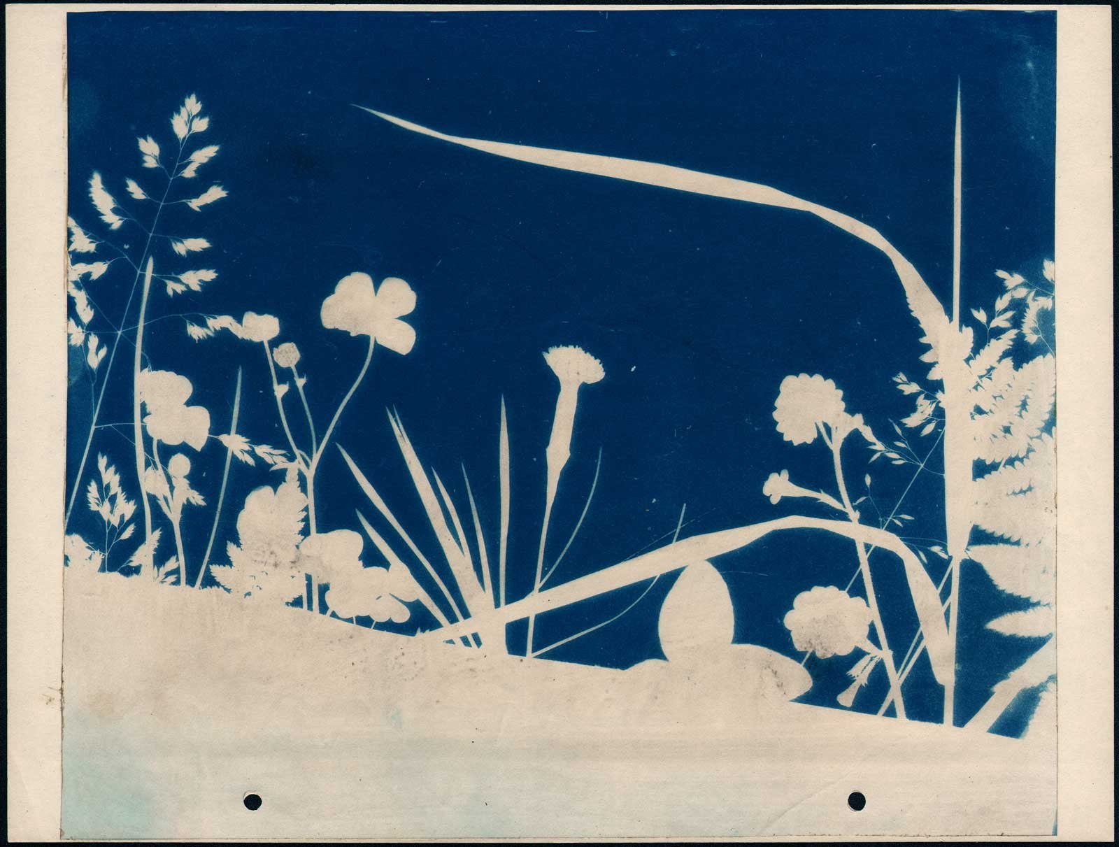 Plant Form Arrangement