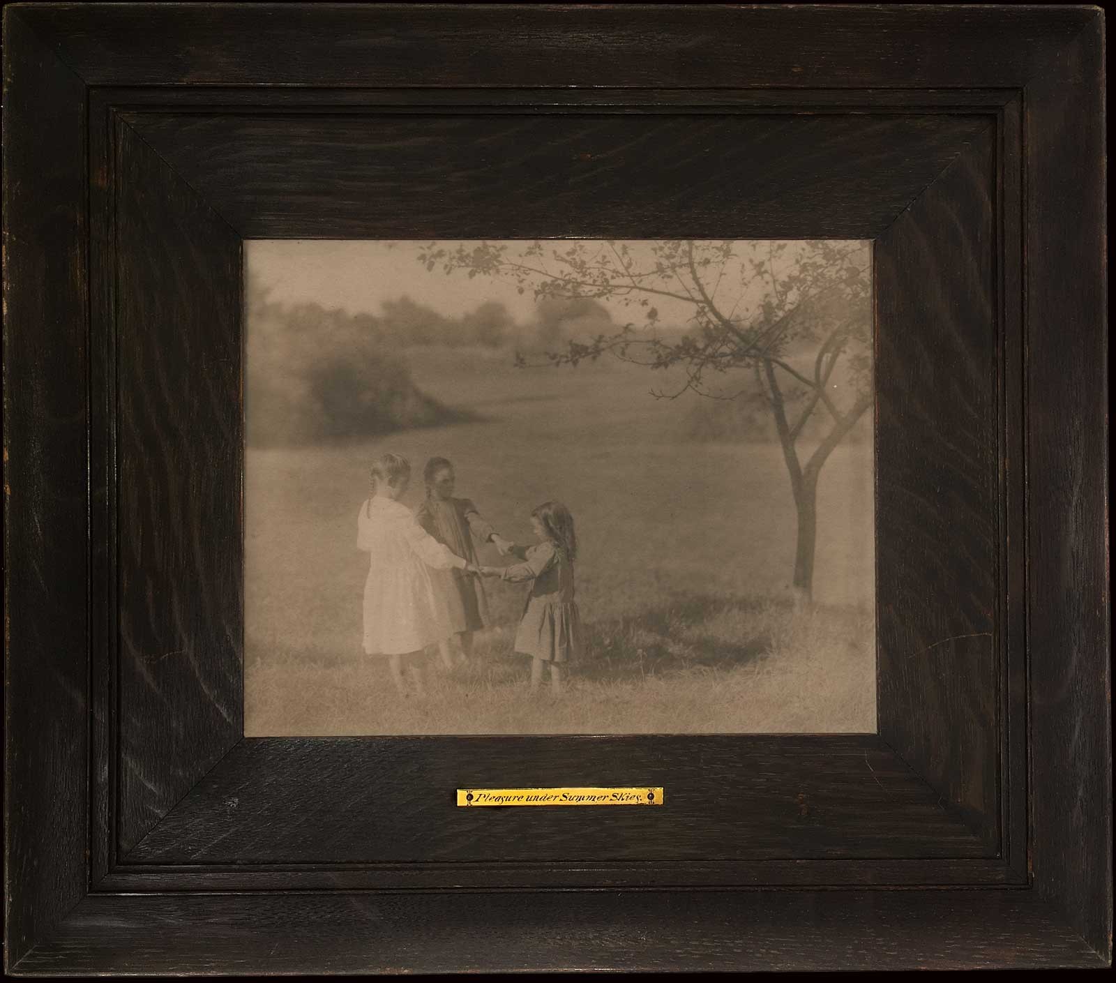 Pleasure Under Summer Skies