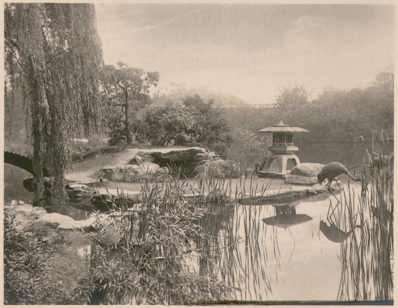 Japanese Hill-and-Pond Garden Island