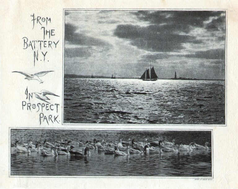 From the Battery N.Y. | In Prospect Park